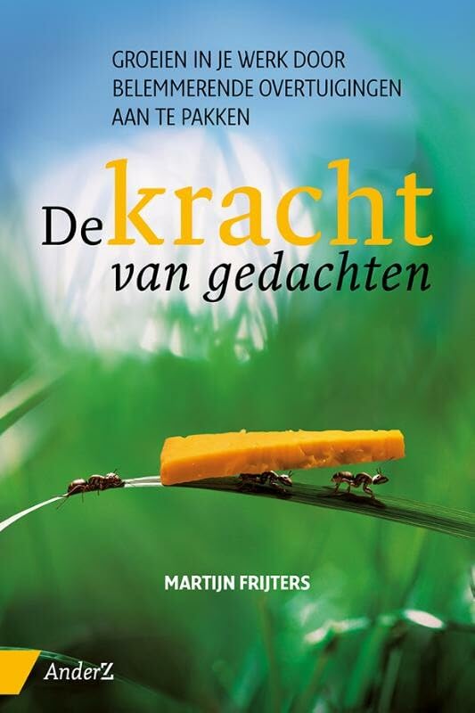 De kracht van gedachten: groeien in je werk door belemmerende overtuigingen aan te pakken book