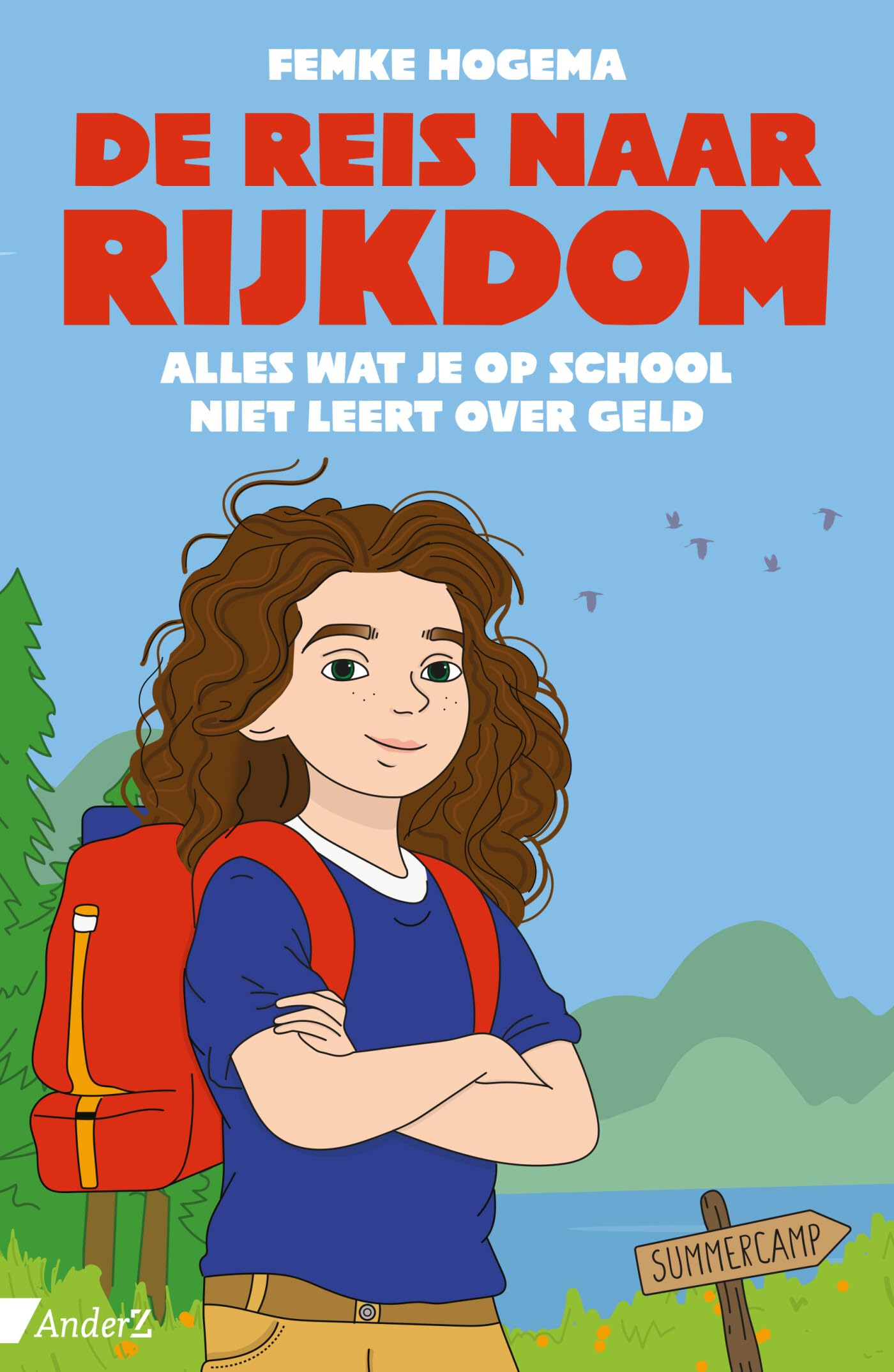 De reis naar rijkdom: Alles wat je op school niet leert over geld book