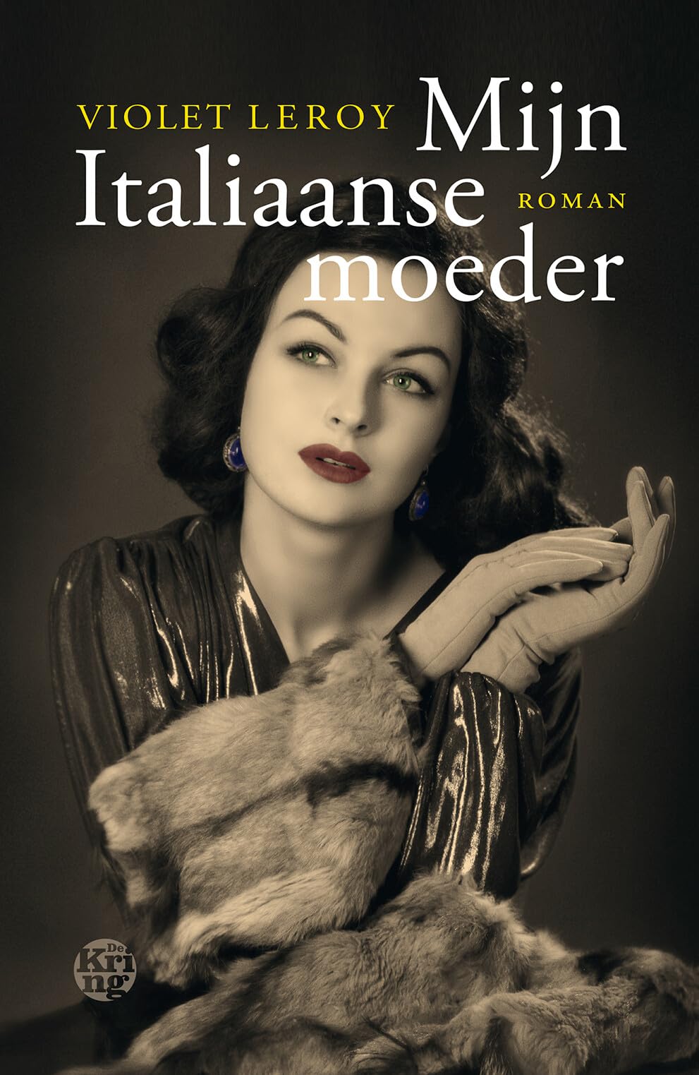 Mijn Italiaanse moeder: roman book