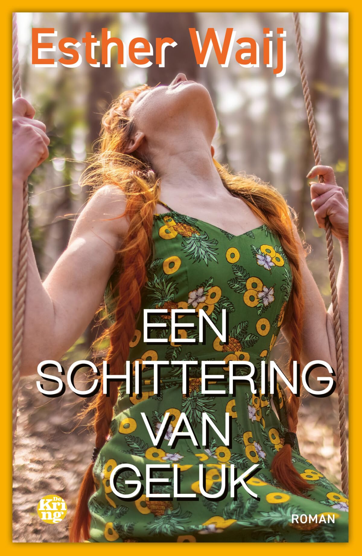 Een schittering van geluk book