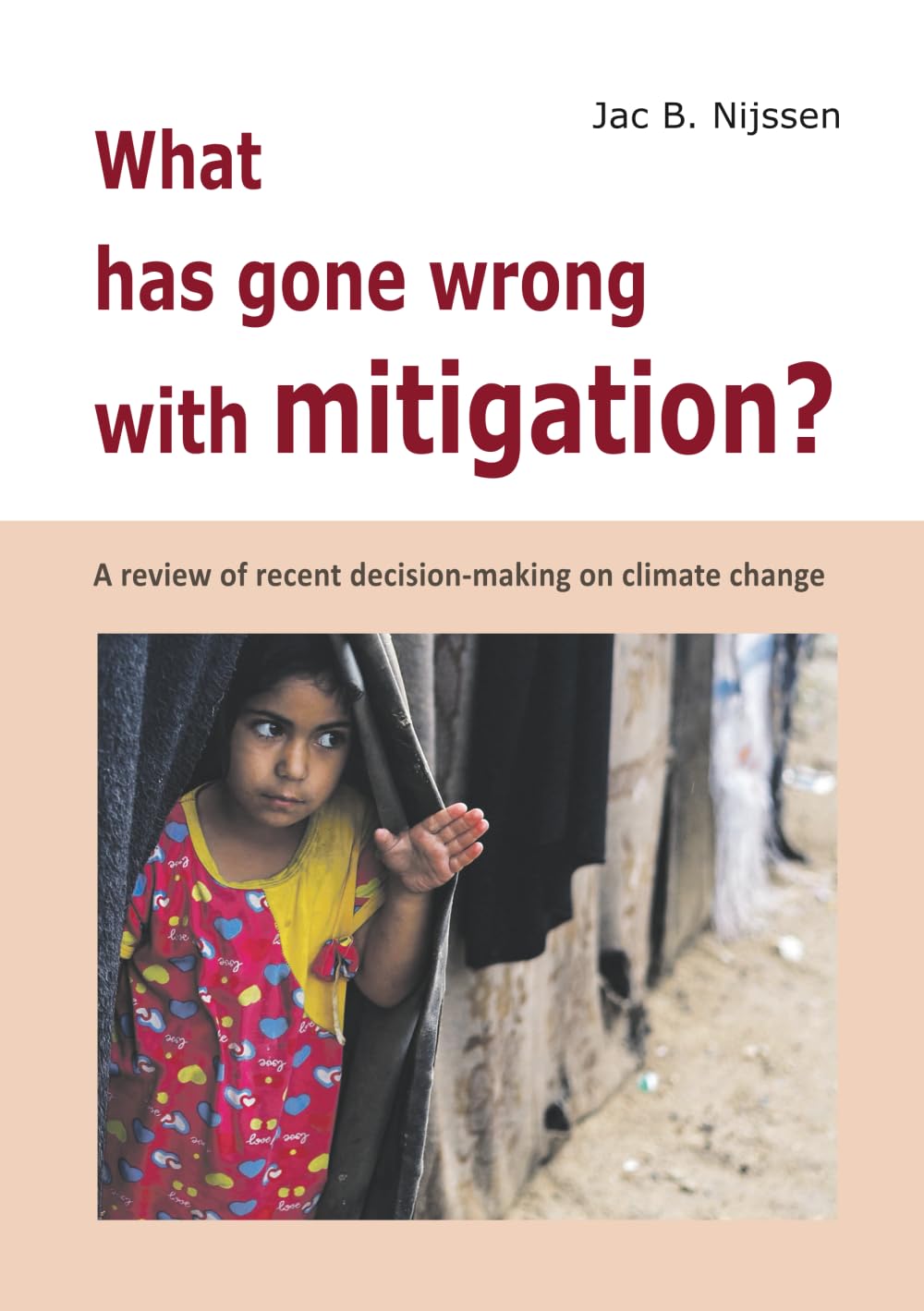 What has gone wrong with mitigation?: A review of the recent decision-making on climate change book