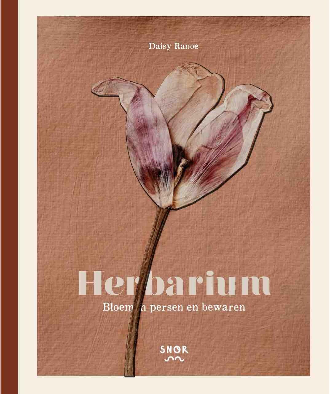 Herbarium: bloemen persen en bewaren book