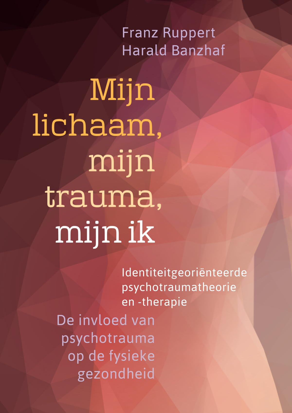 Mijn lichaam, mijn trauma, mijn ik: identiteitgeoriënteerde psychotraumatheorie en -therapie : de invloed van psychotrauma op de fysieke gezondheid book