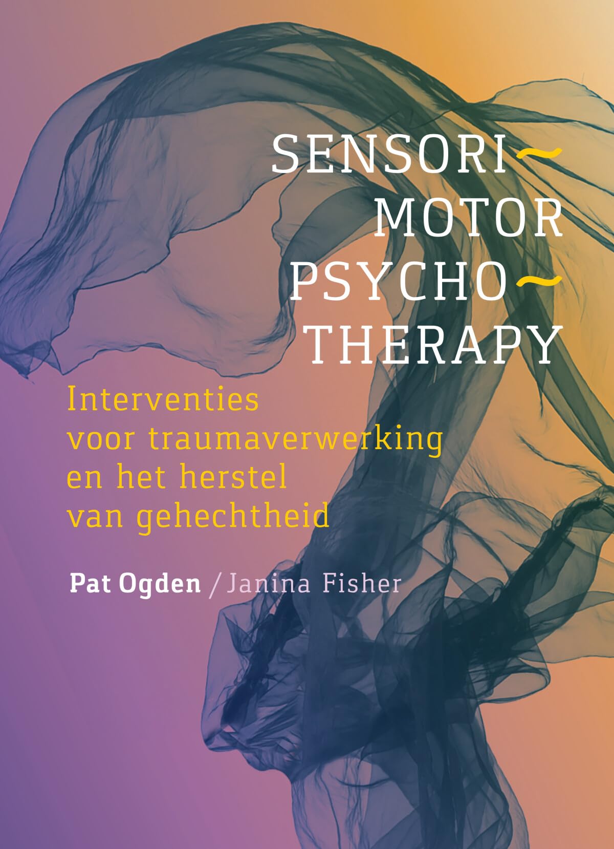Sensorimotor psychotherapy: interventies voor traumaverwerking en het herstel van gehechtheid Medicine