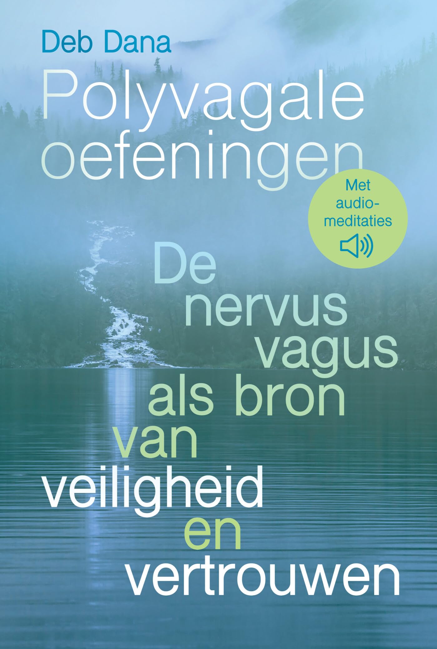 Polyvagale oefeningen: de nervus vagus als bron van veiligheid en vertrouwen book