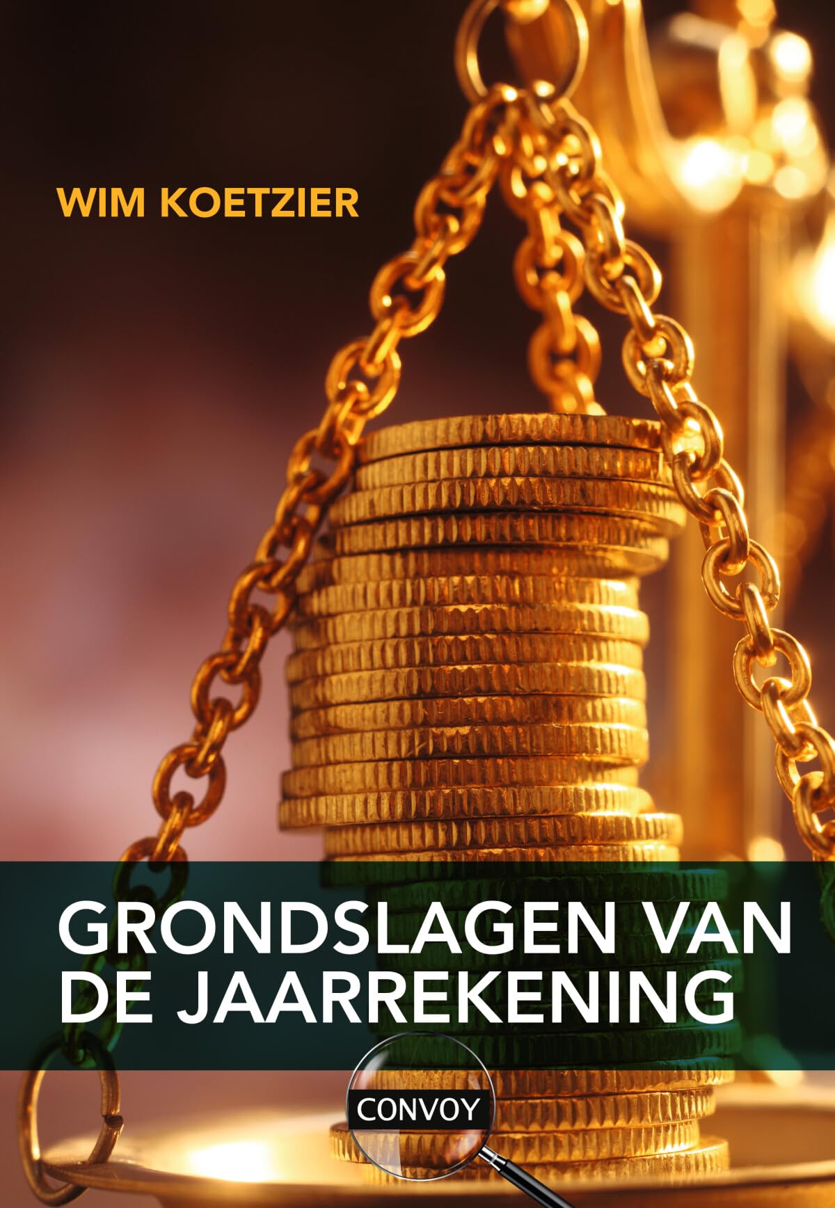 Grondslagen van de jaarrekening book