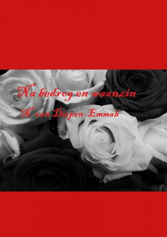 Na bedrog en waanzin book