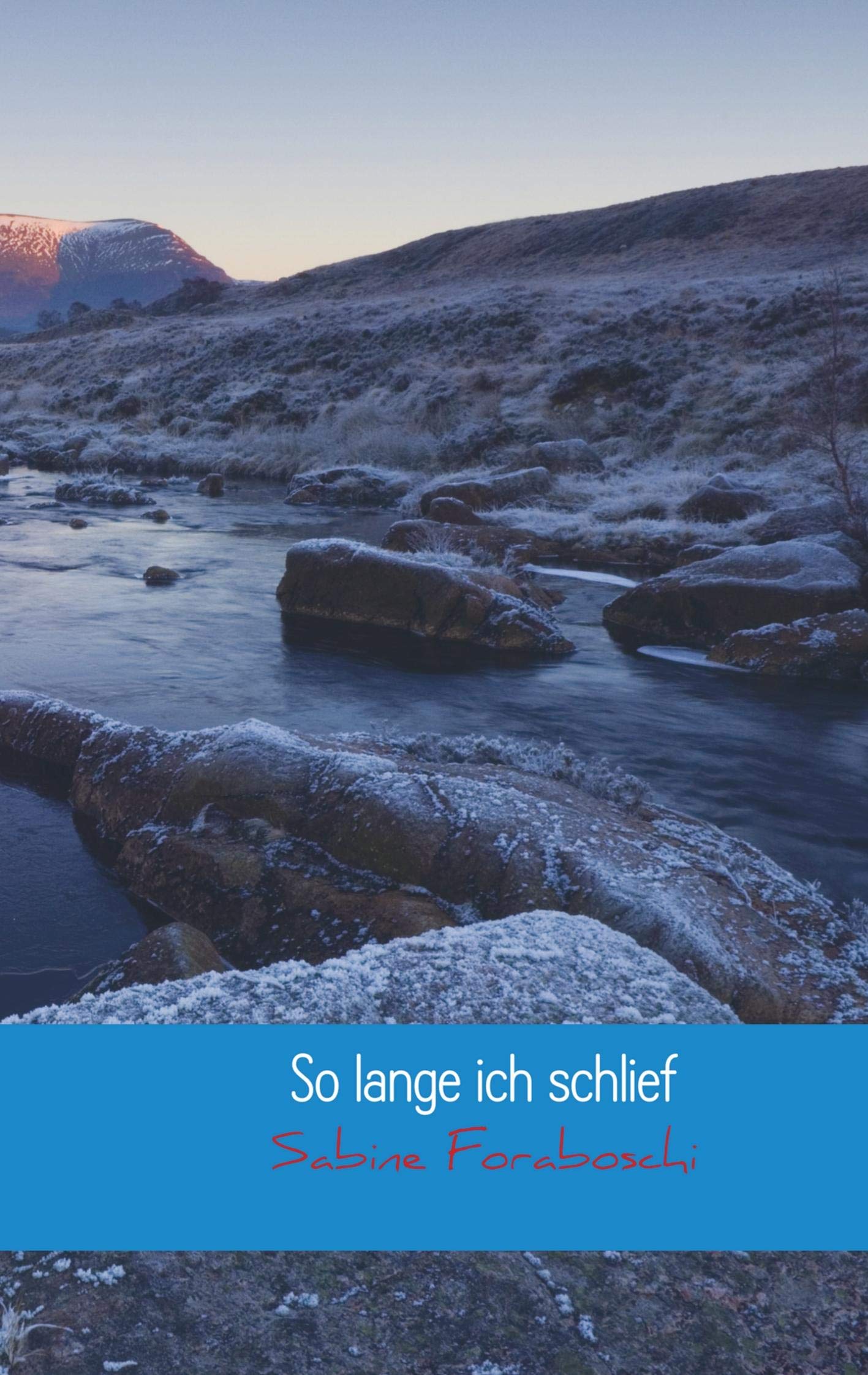 So lange ich schlief: Einmal Wachkoma und zurück Contemporary literature