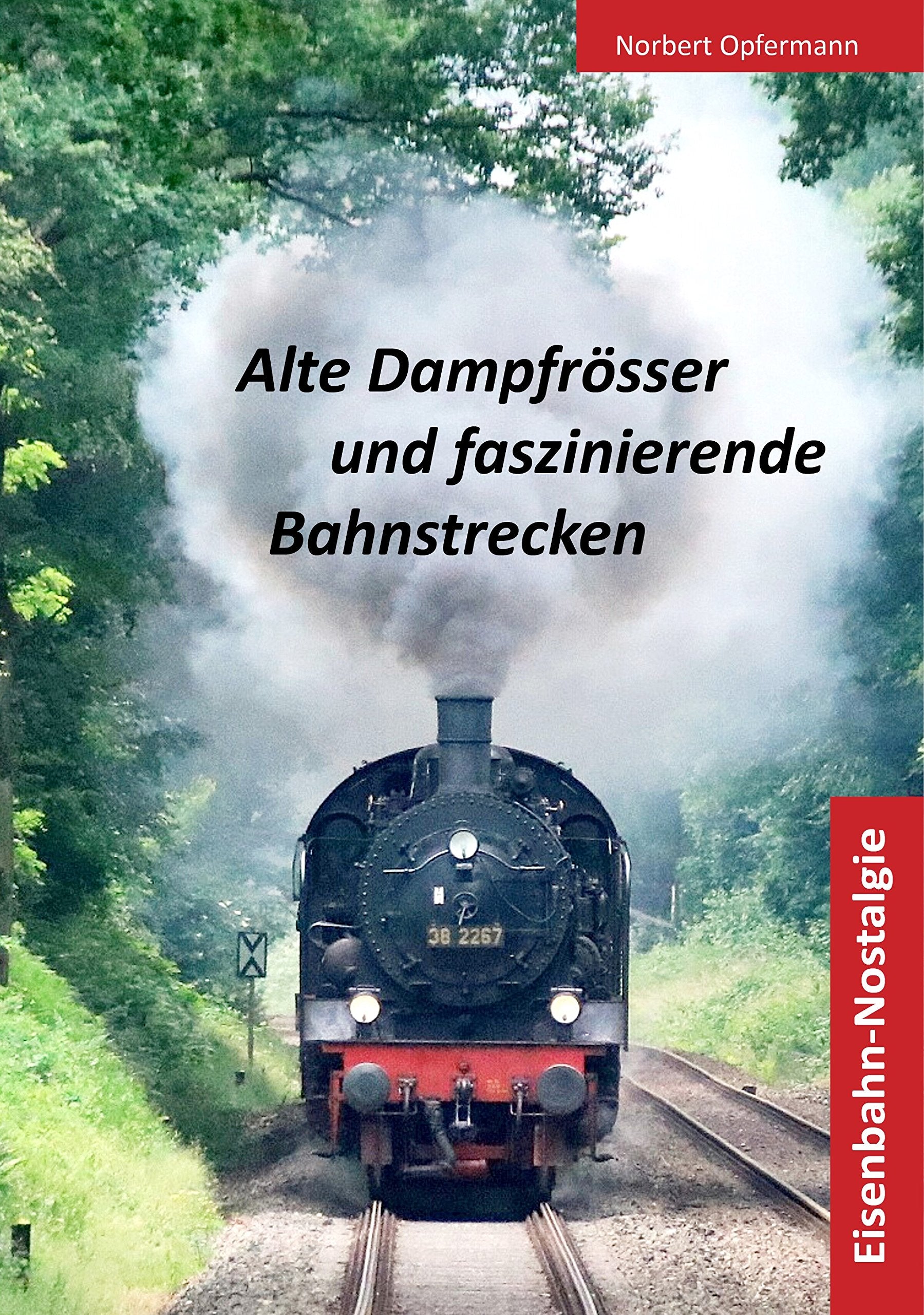 Alte Dampfrösser und faszinierende Bahnstrecken Leisure, Home & Garden
