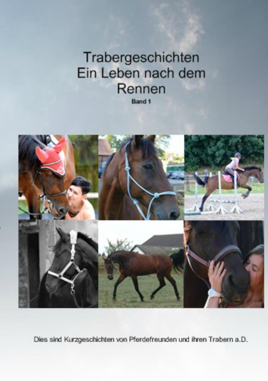 Trabergeschichten Ein Leben nach dem Rennen: Band 1 Poetry