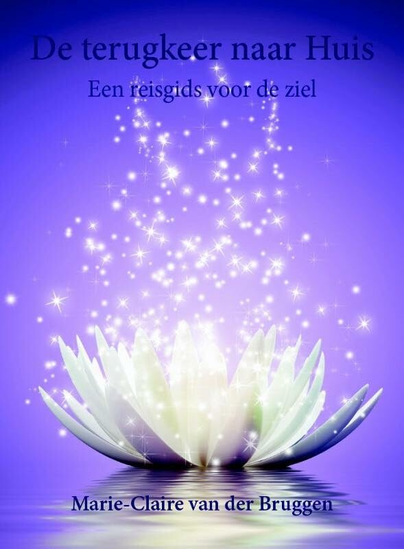 De terugkeer naar huis: Een reisgids voor de ziel book