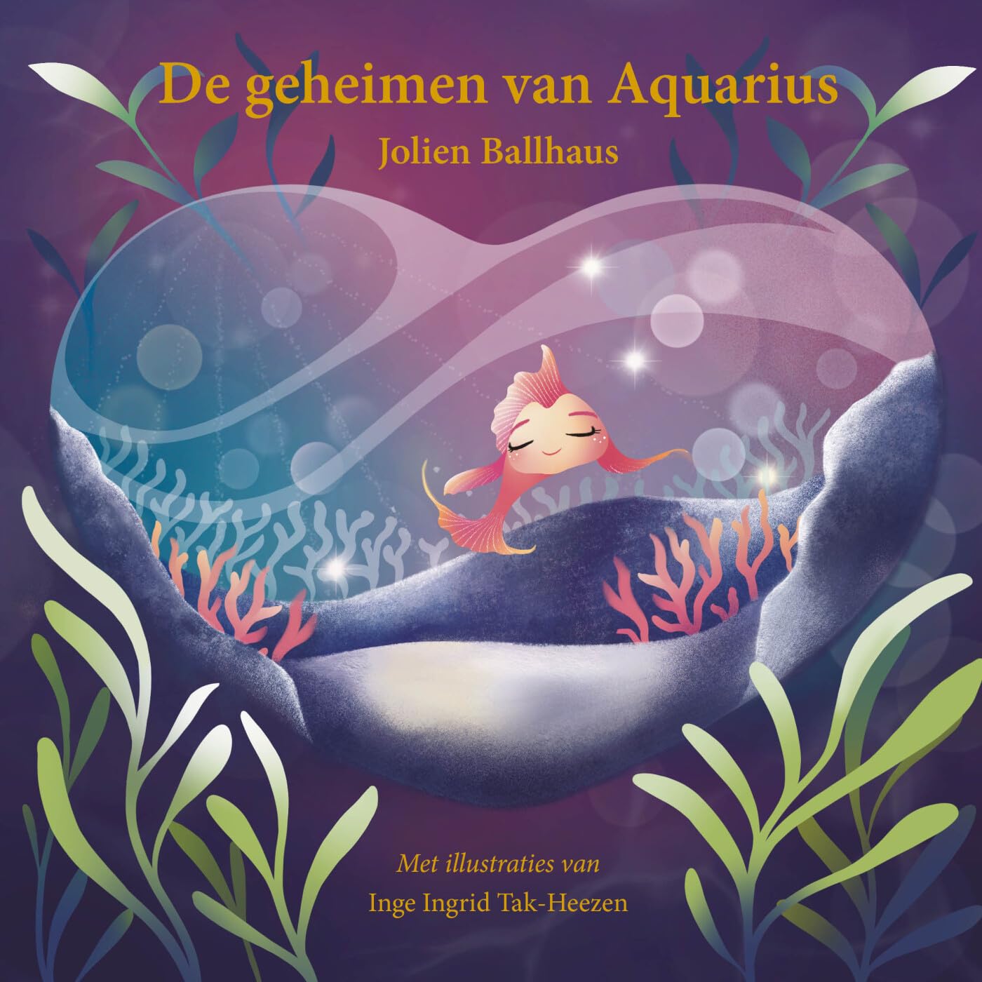 De geheimen van Aquarius book