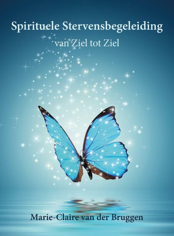 Spirituele stervensbegeleiding: van ziel tot ziel book