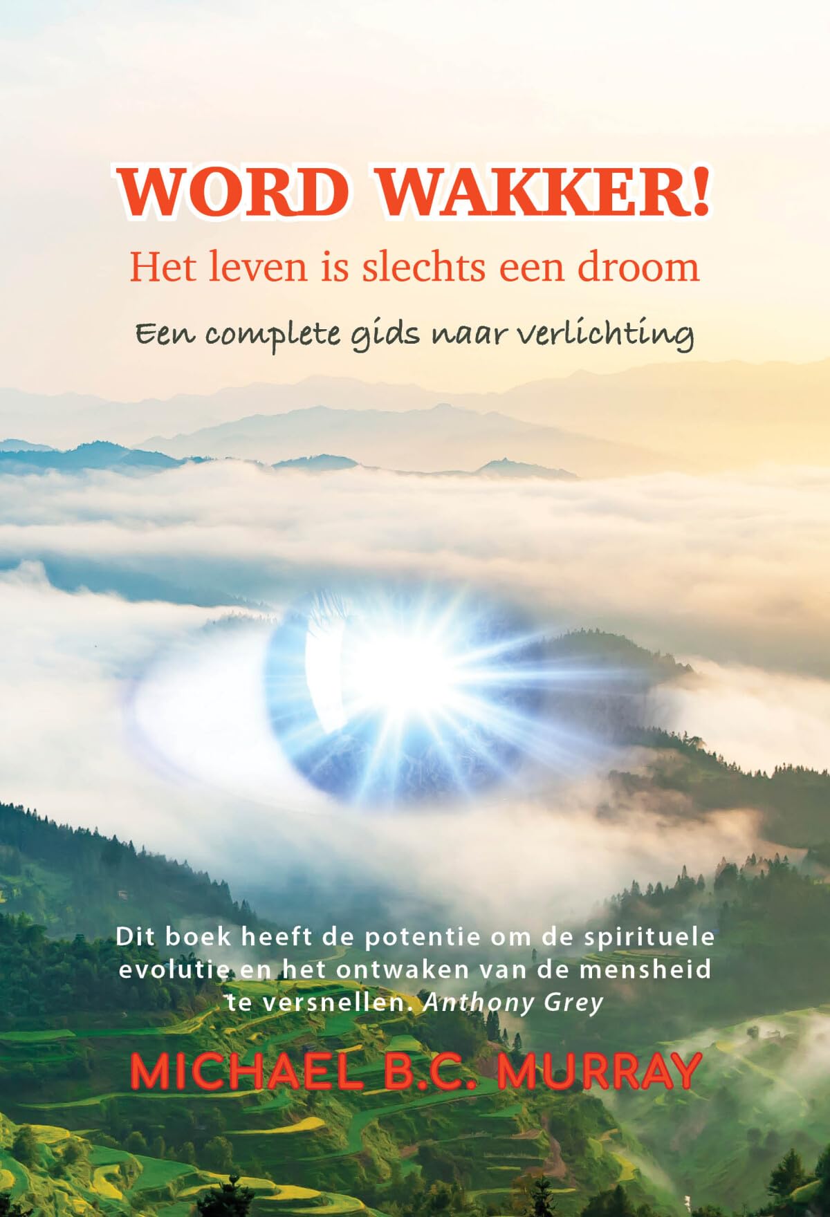 Word wakker! Het leven is slechts een droom: een complete gids naar verlichting book