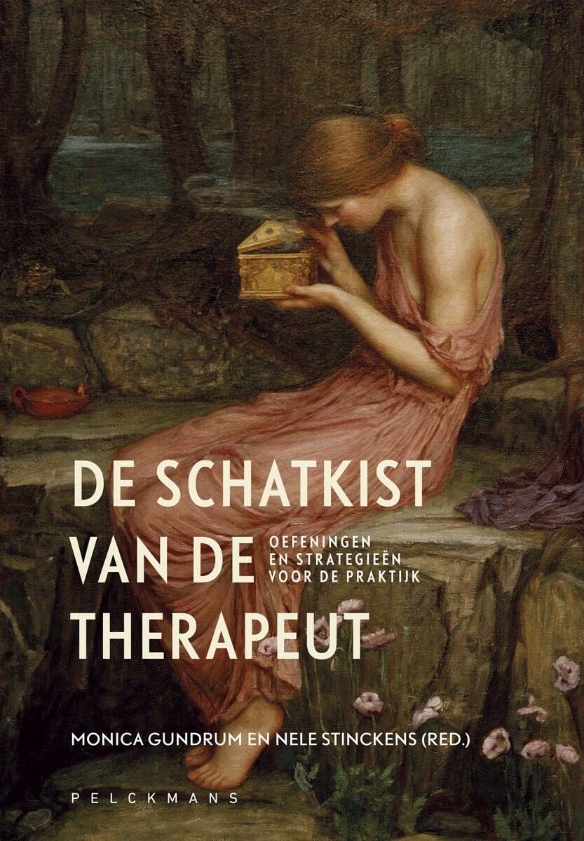 De schatkist van de therapeut: oefeningen en strategieën voor de praktijk book