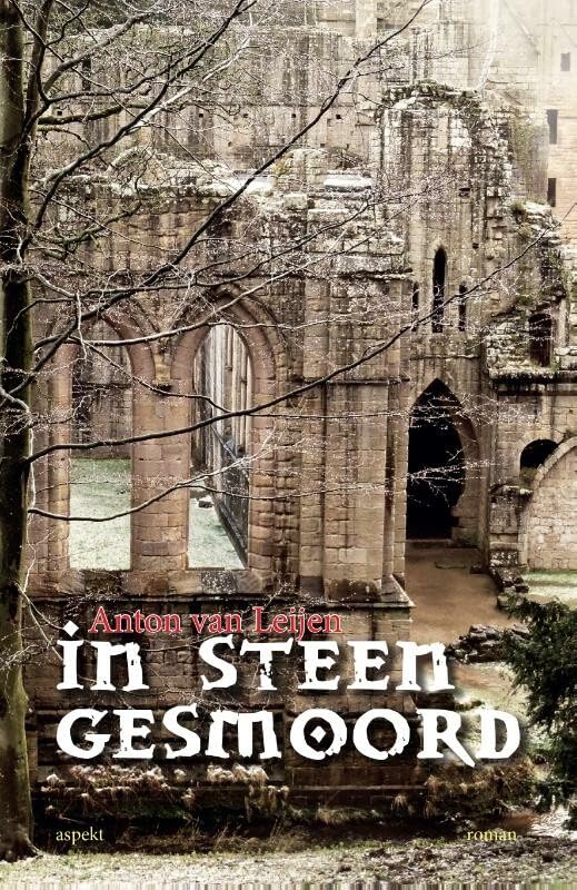 In steen gesmoord: roman book
