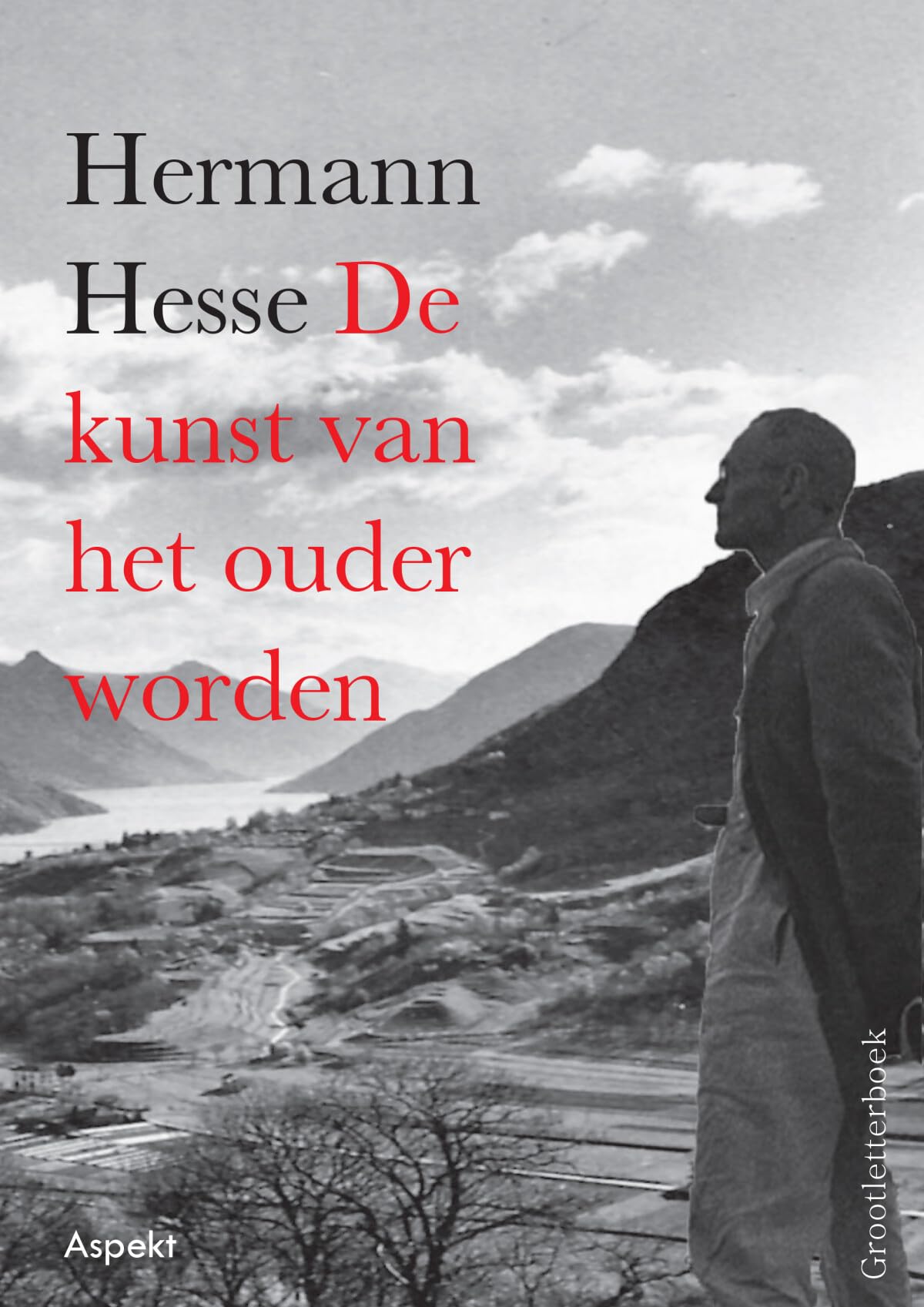 De kunst van het ouder worden: overpeinzingen en gedichten over het ouder worden book