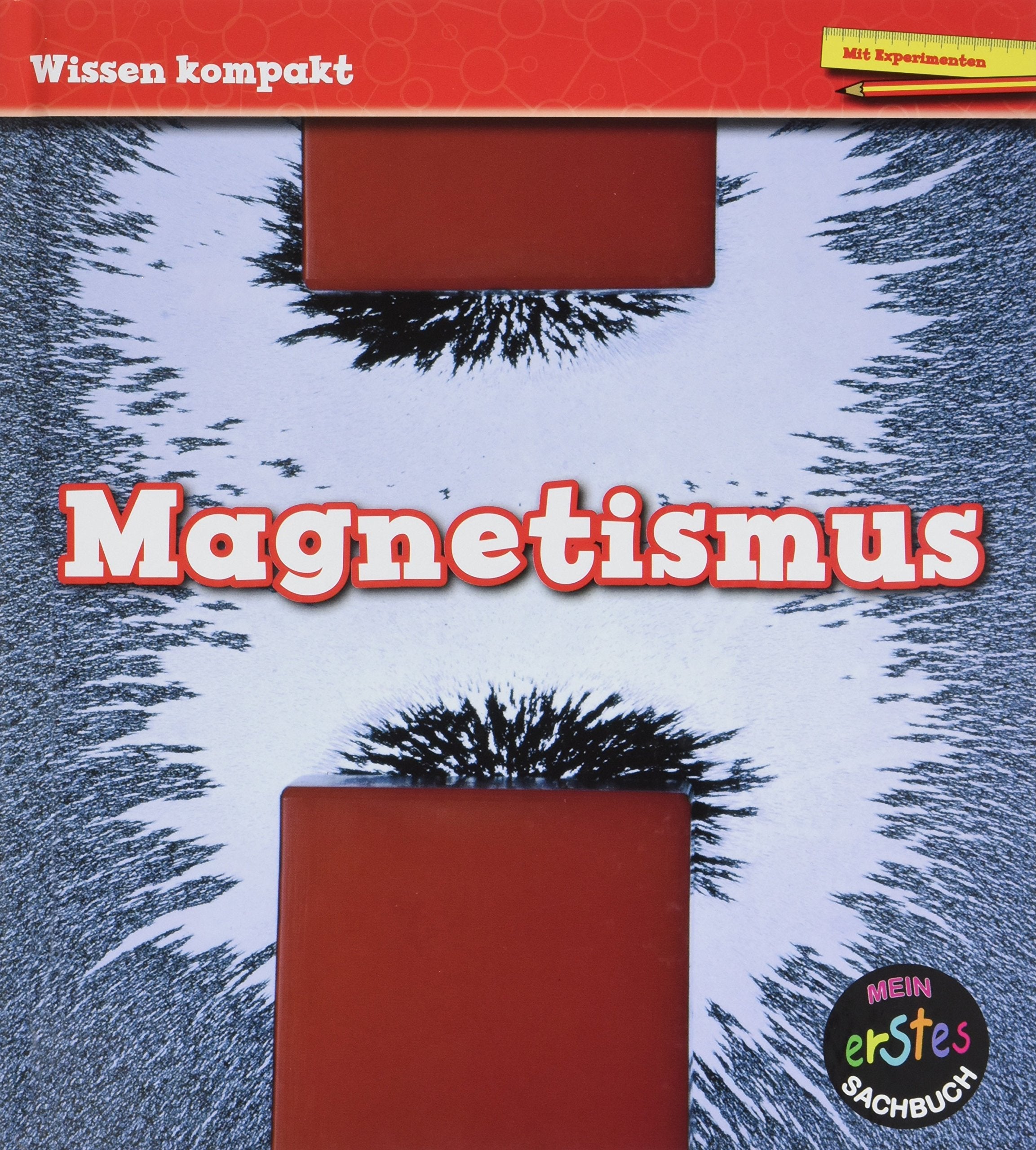 Magnetismus: Wissen kompakt Non-fiction