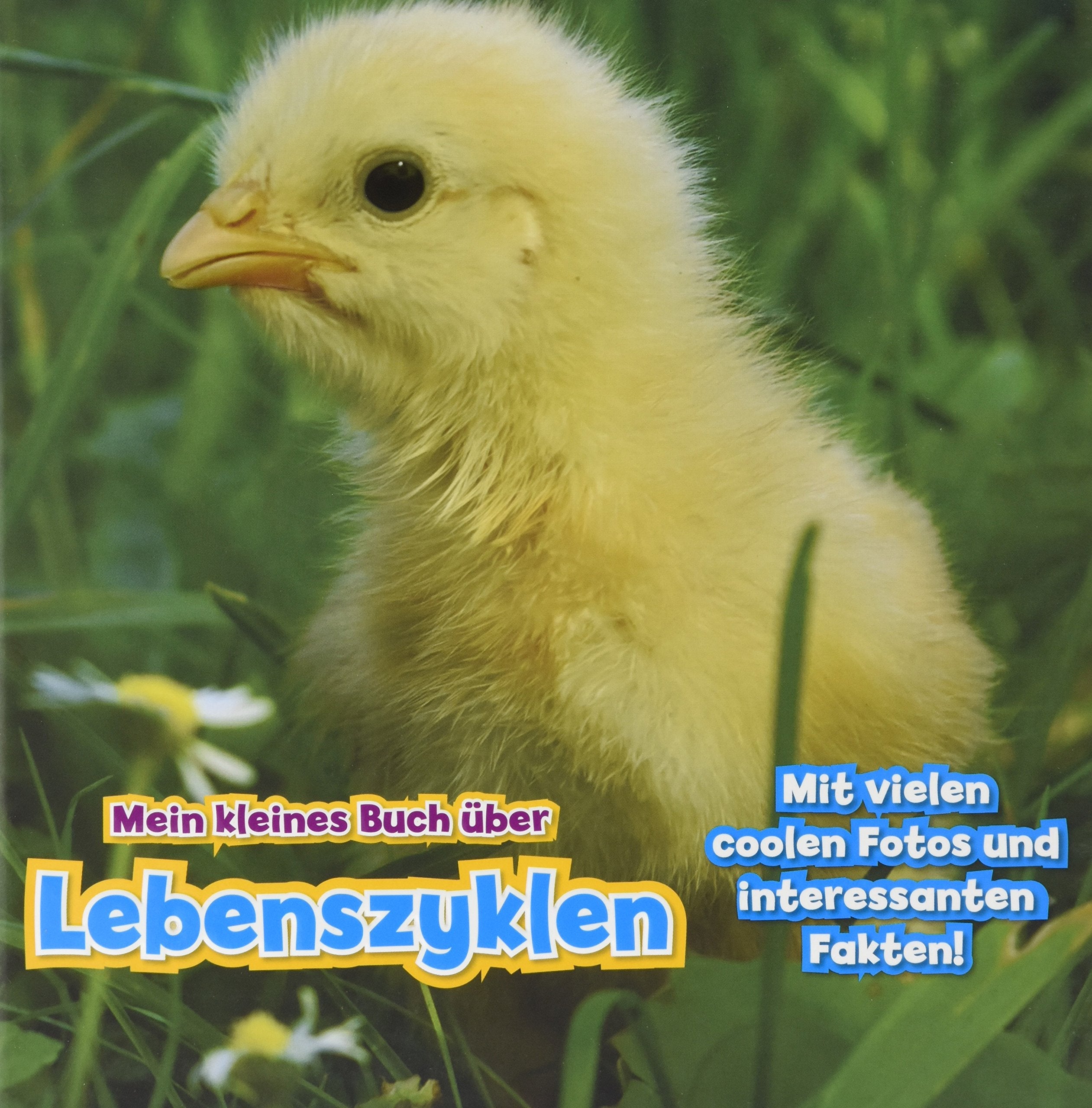 Mein kleines Buch über Lebenszyklen: Mit vielen coolen Fotos und interessanten Fakten!. Mit digitalem Zusatzangebot (CORONA Sachbücher) Business & Technology
