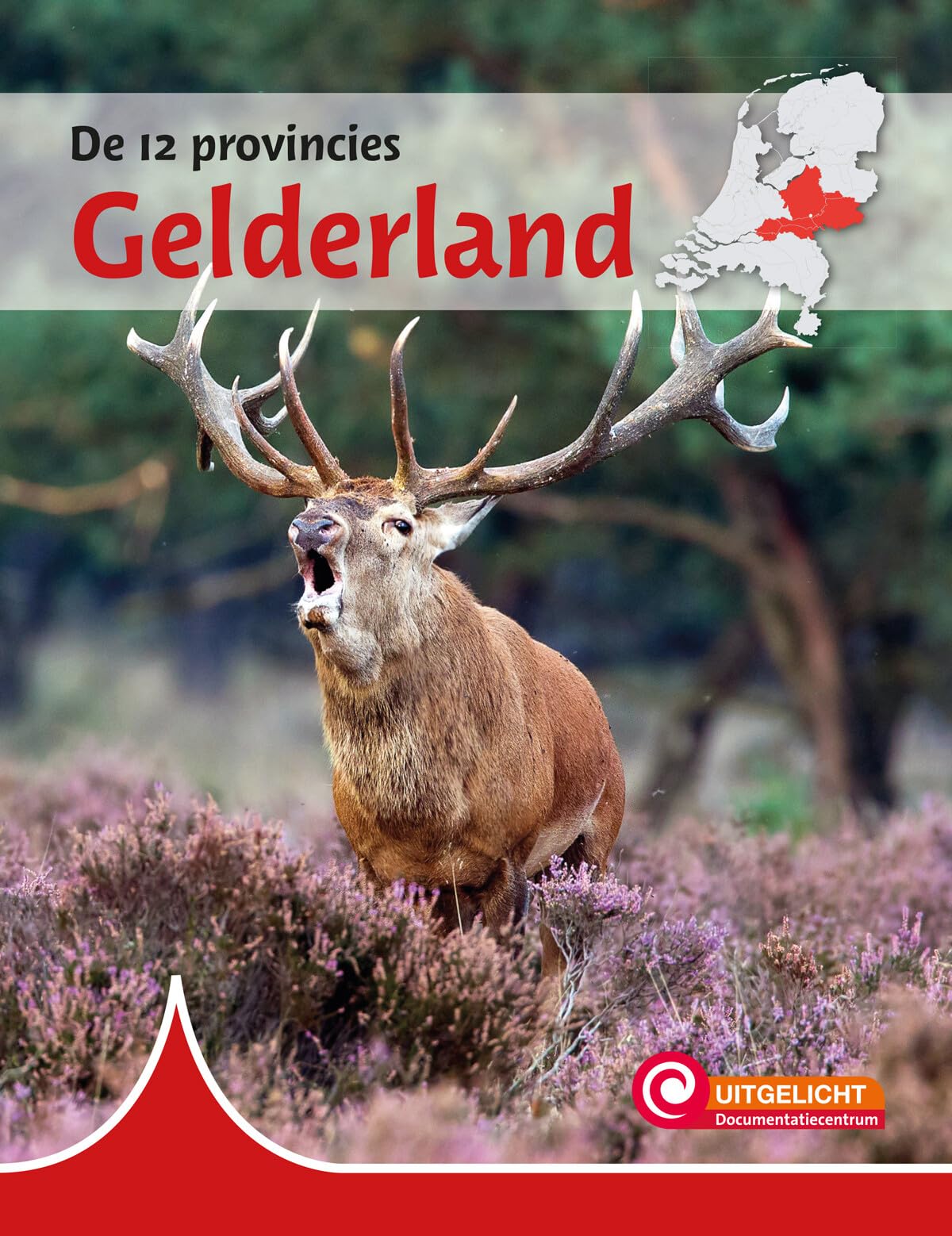 De provincie Gelderland (De twaalf provincies) Non-fiction