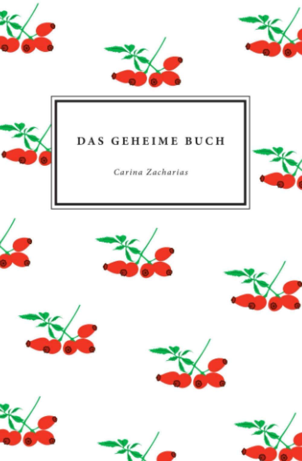 Das geheime Buch Contemporary literature