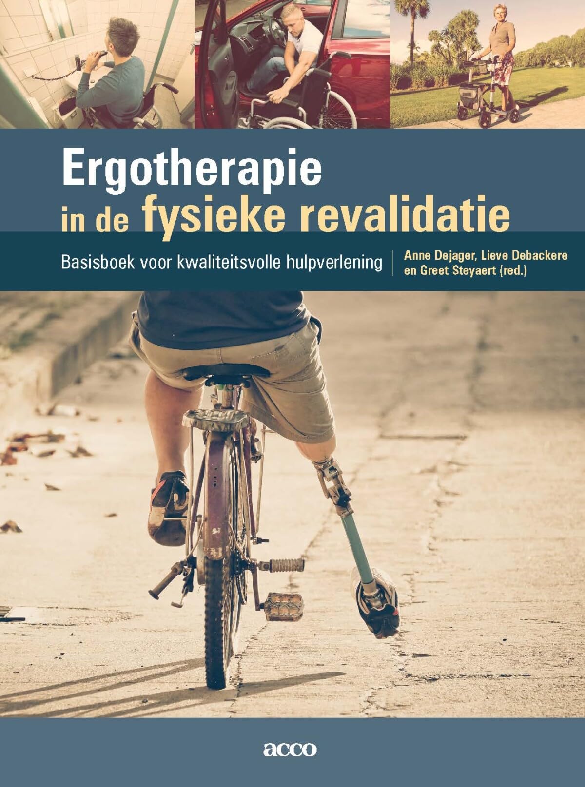 Ergotherapie in de fysieke revalidatie: basisboek voor kwaliteitsvolle hulpverlening book