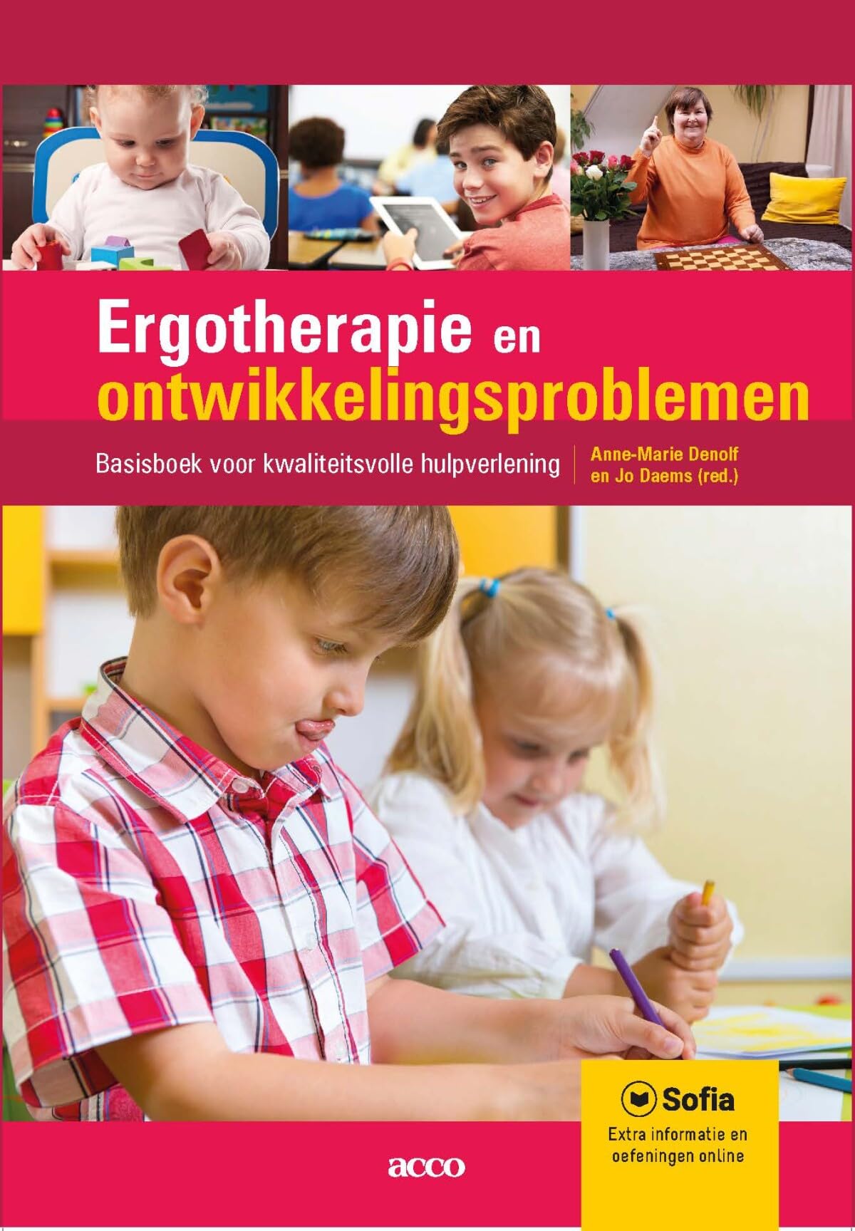 Ergotherapie en ontwikkelingsproblemen: basisboek voor kwaliteitsvolle hulpverlening book