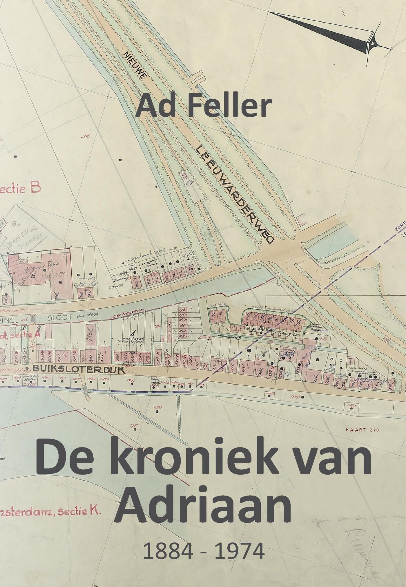 De kroniek van Adriaan: 1884 - 1974 book