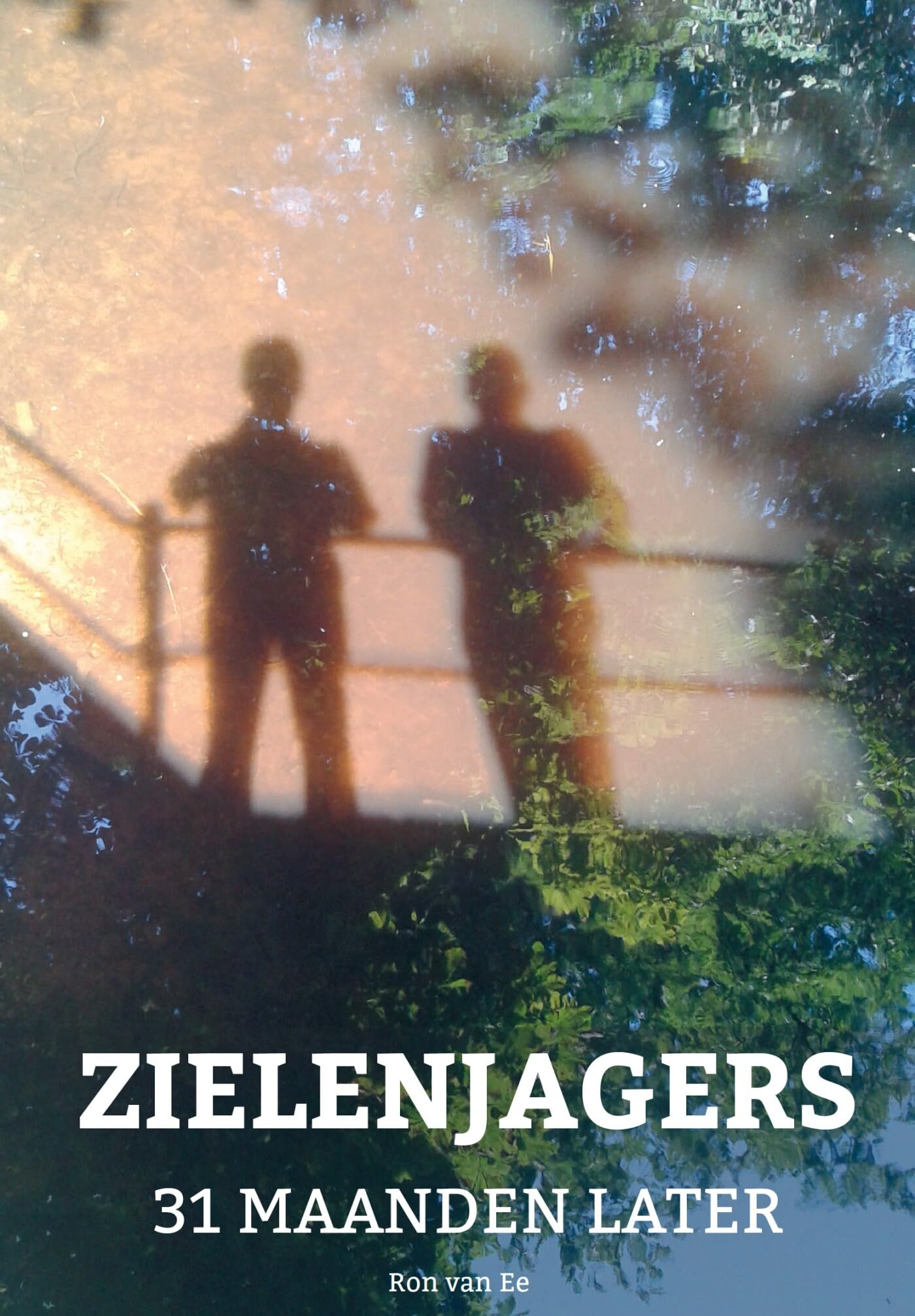 Zielenjagers: 31 maanden later book