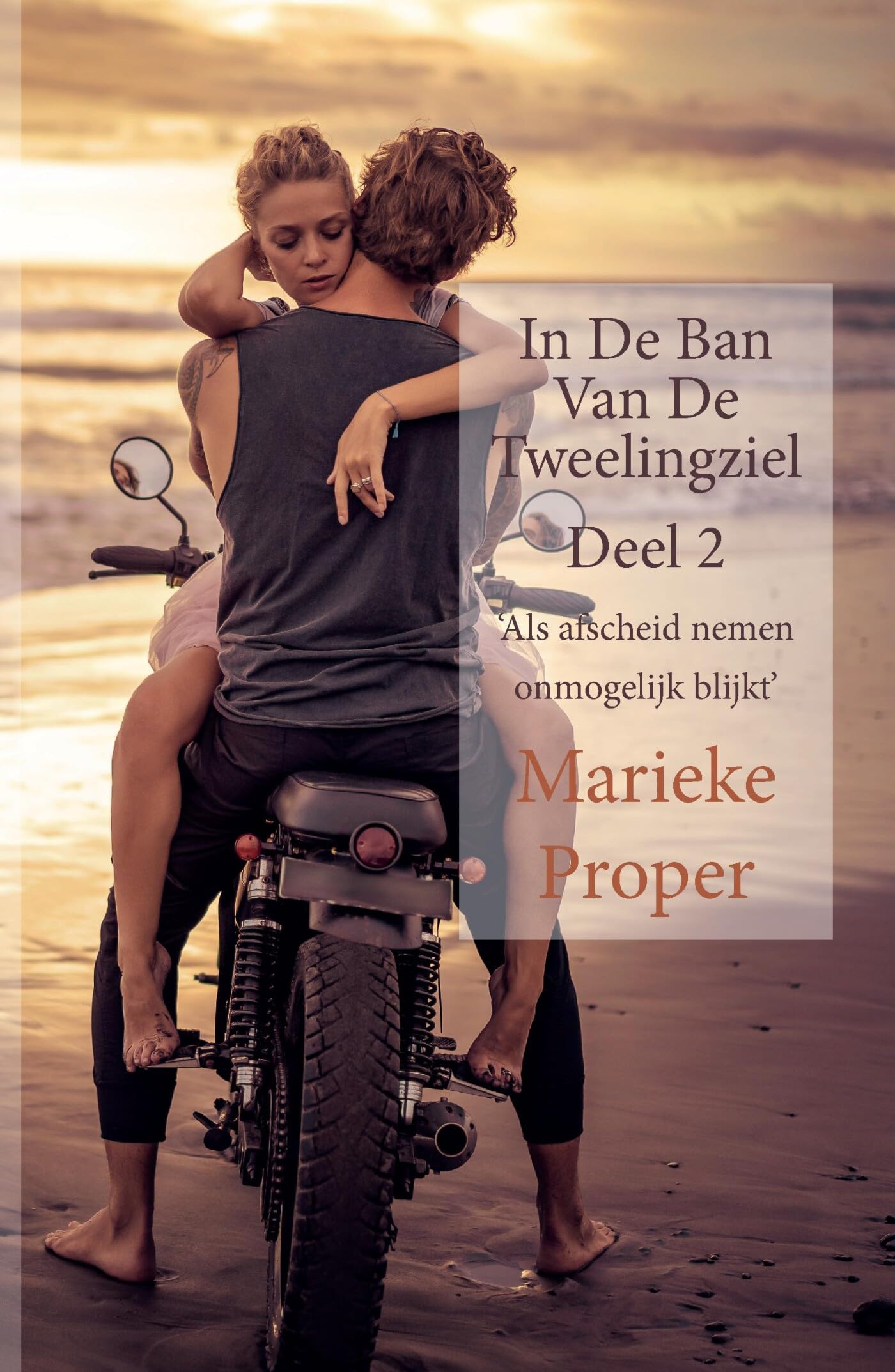 In De Ban Van De Tweelingziel deel 2 book