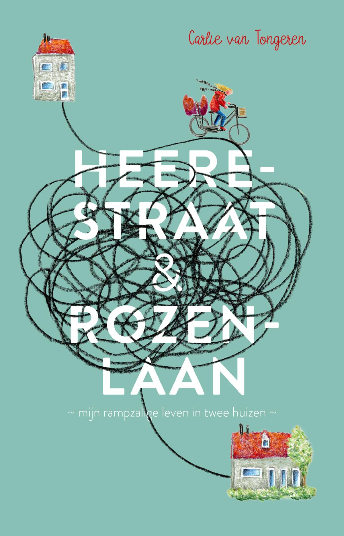 Heerestraat & Rozenlaan: mijn rampzalige leven in twee huizen 6-9 years
