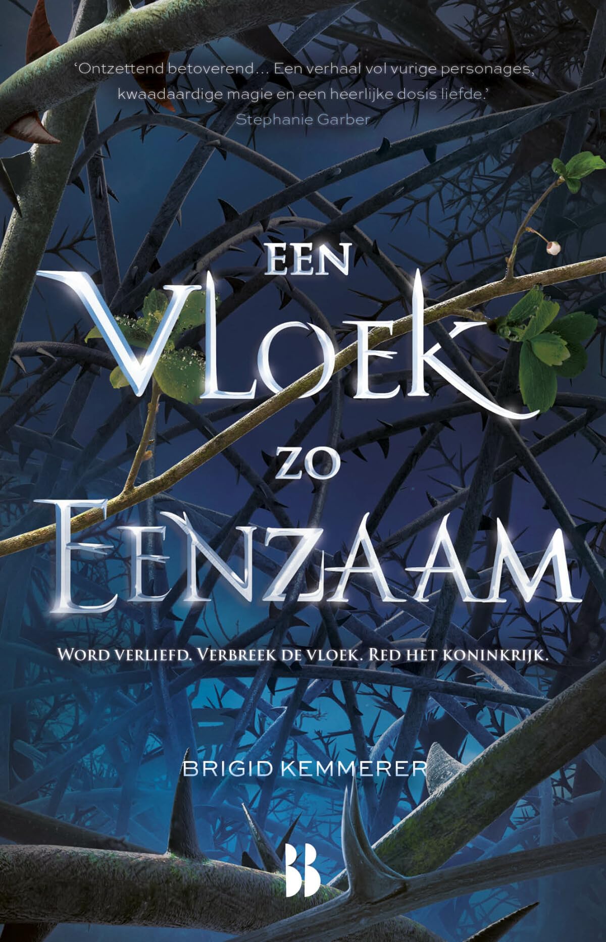 Een vloek zo eenzaam: word verliefd. Verbreek de vloek. Red het koninkrijk. book