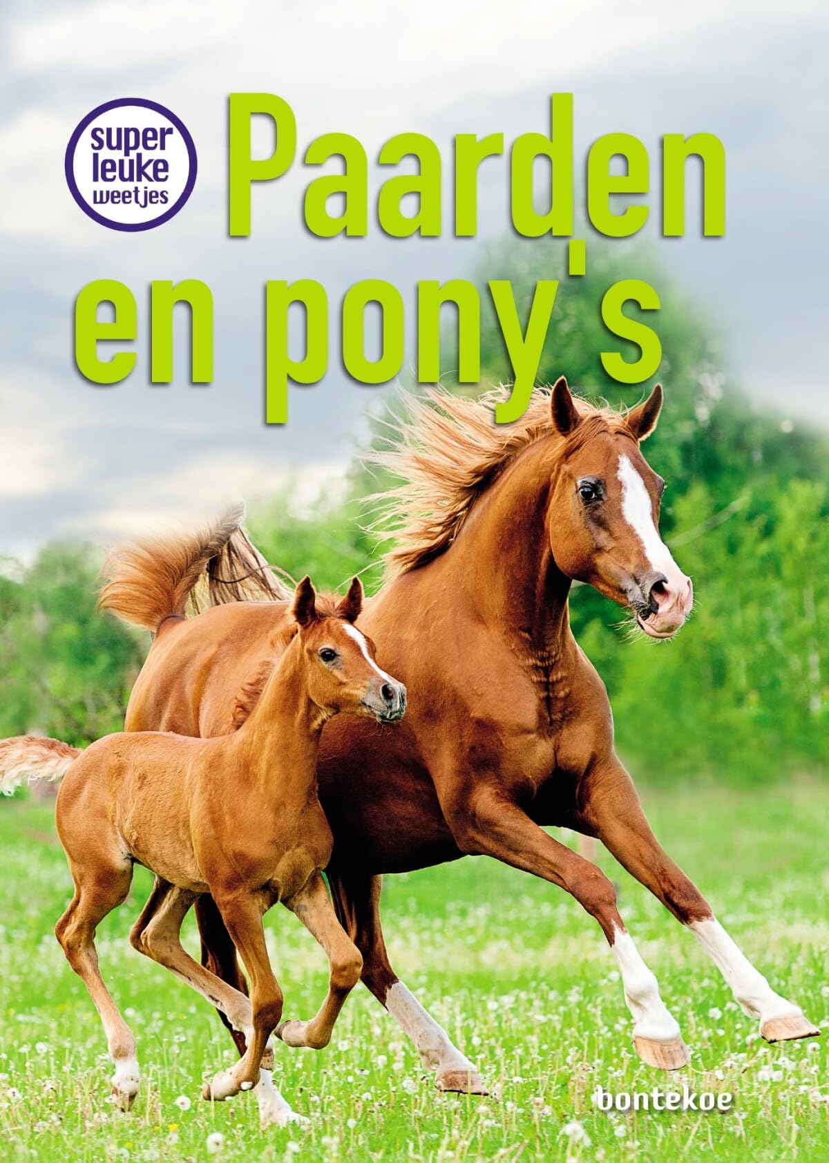 Paarden en pony's book