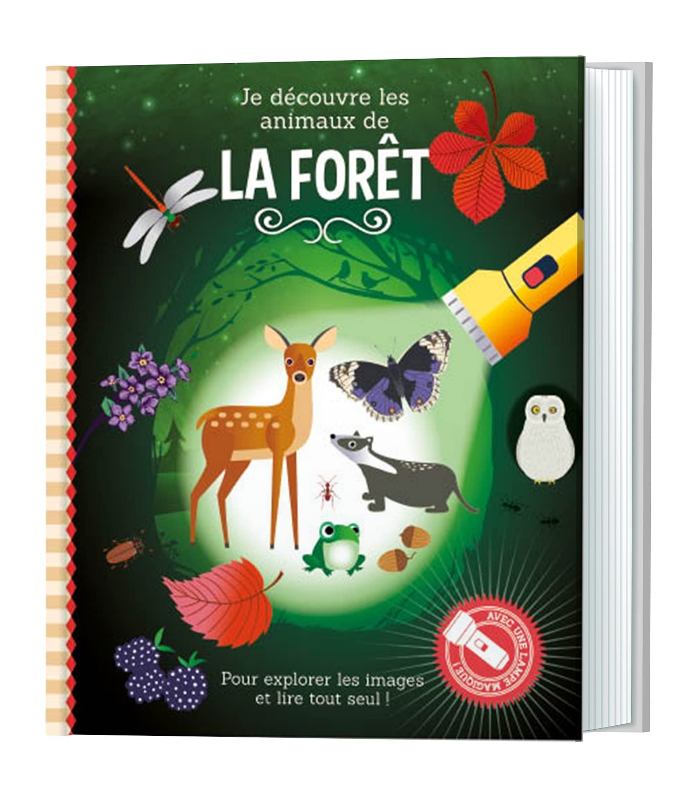 Je découvre les animaux de la forêt: Avec une lampe magique book