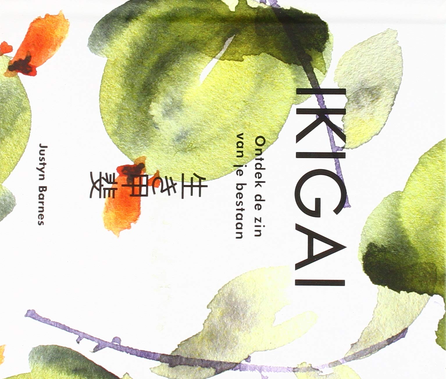 Ikigai: ontdek de zin van je bestaan book
