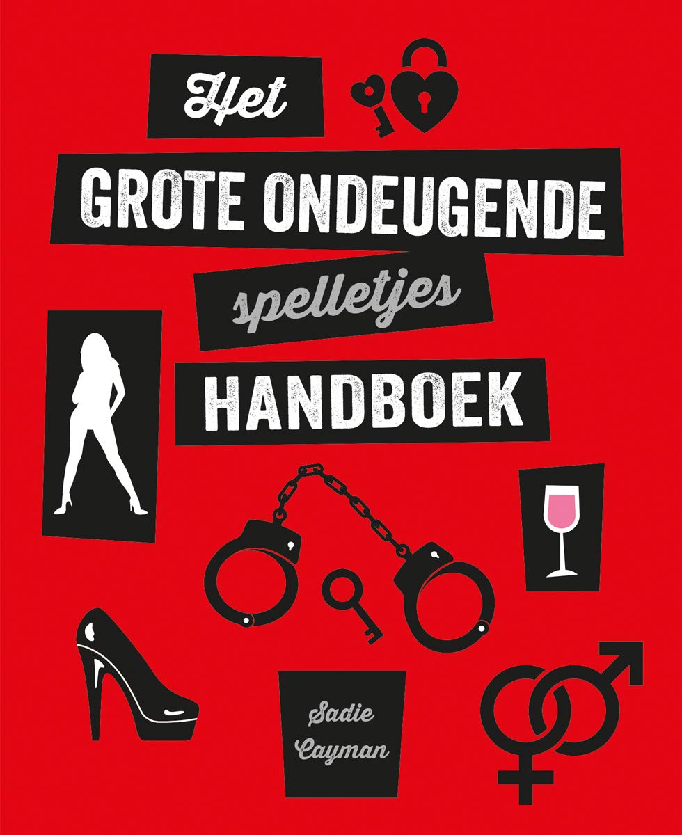 Het grote ondeugende spelletjes handboek book