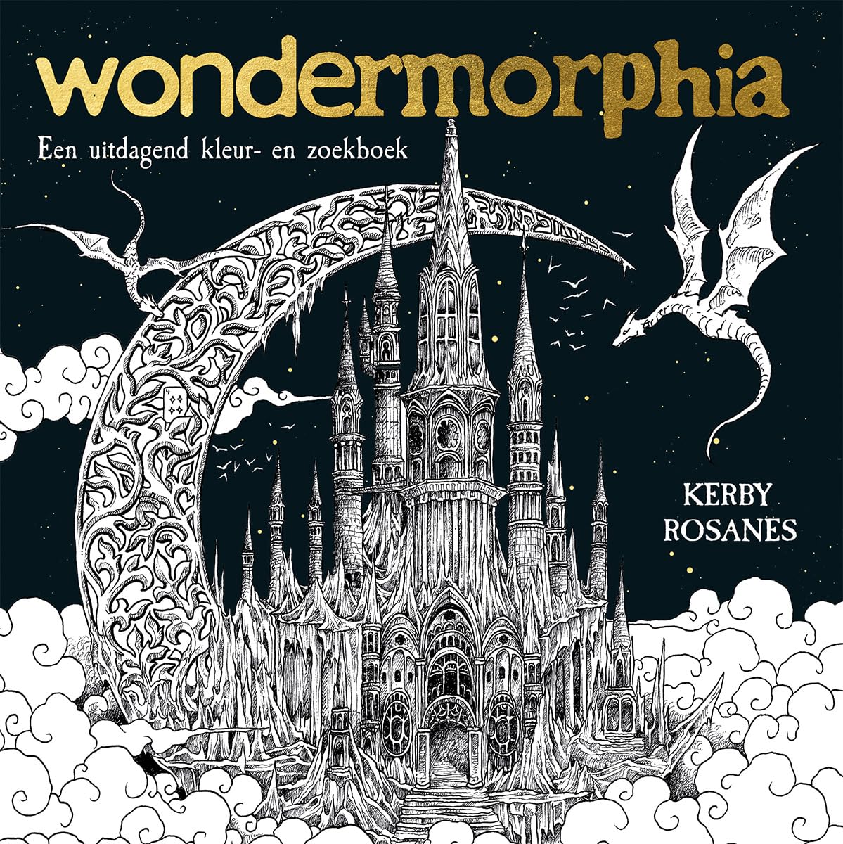Wondermorphia: Een uitdagend zoek- en (voor)leesboek Hobbies & Crafts