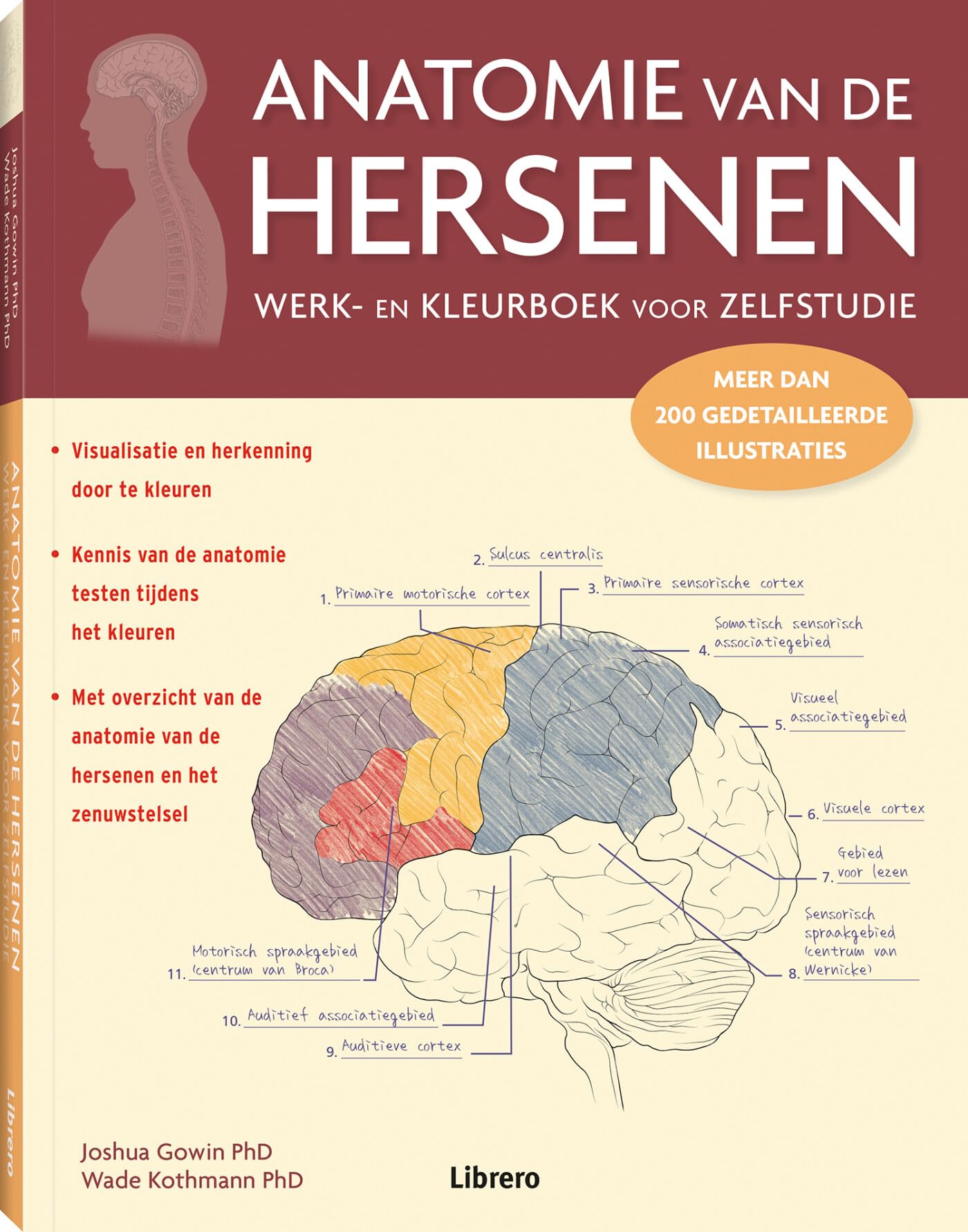 Anatomie van de hersenen: Werk- en kleurboek voor zelfstudie book