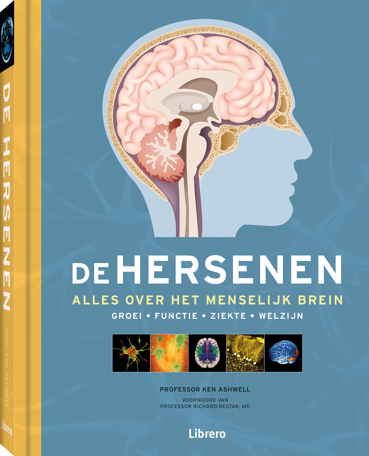 De hersenen: alles over het menselijk brein : groei, functie, ziekte, welzijn book