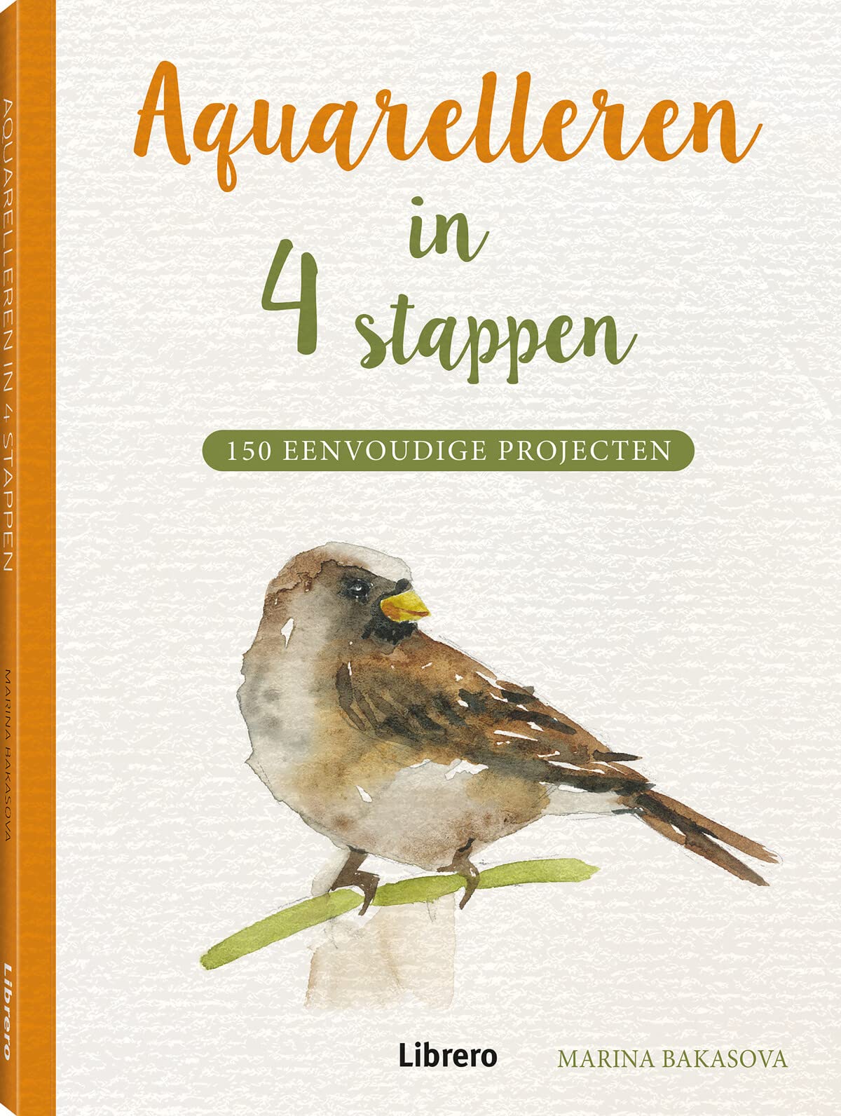 Aquarelleren in 4 stappen: 150 eenvoudige projecten Film, Art & Culture