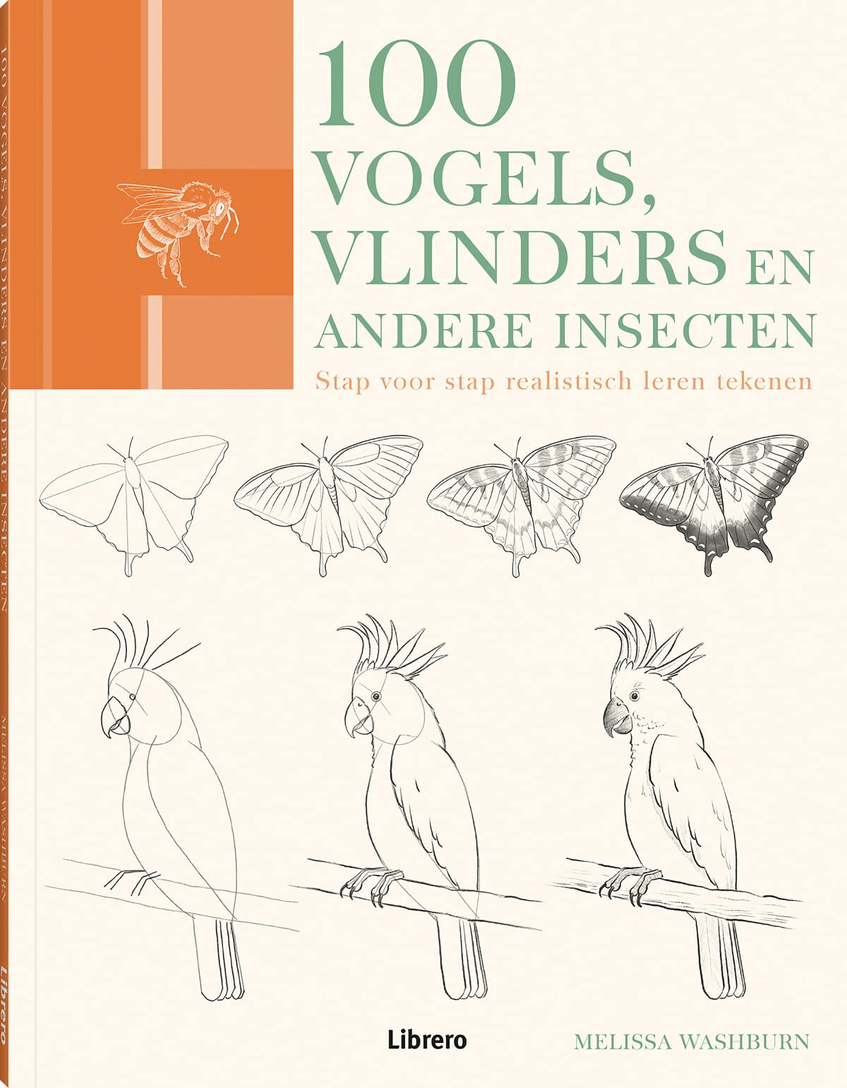 100 vogels, vlinders en andere insecten: stap voor stap realistisch leren tekenen book