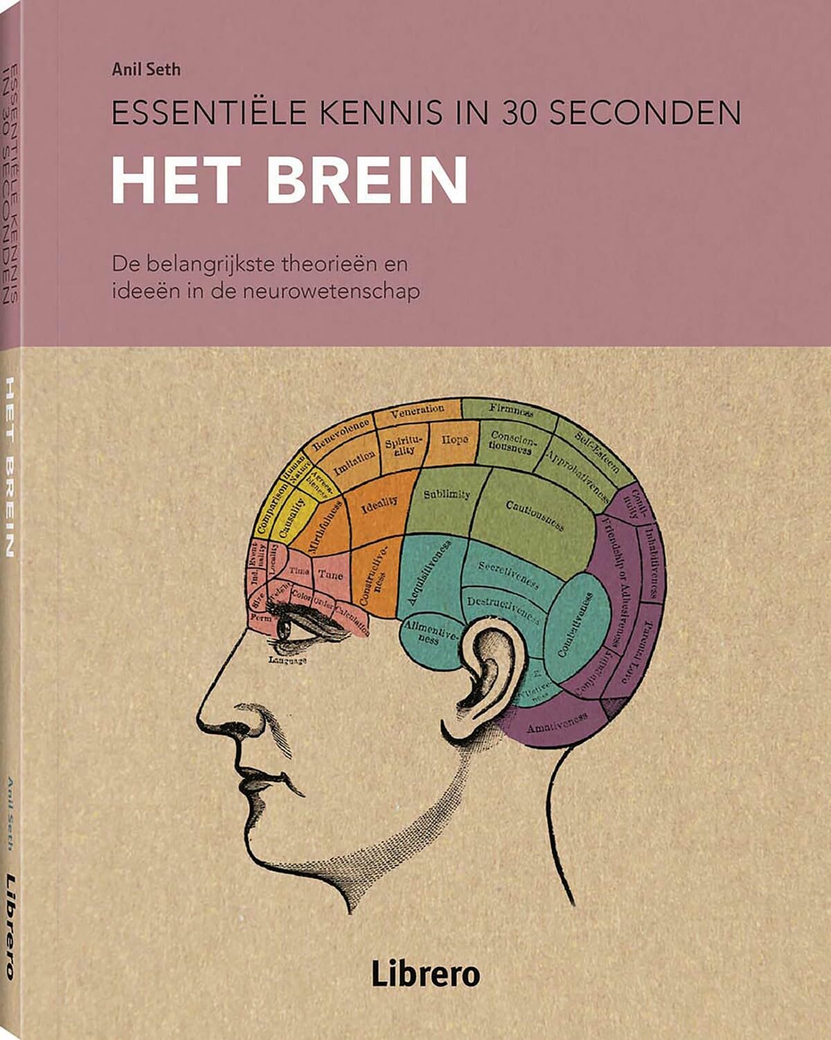 Het brein: De belangrijkste theorieën en ideeën in de neurowetenschap Books