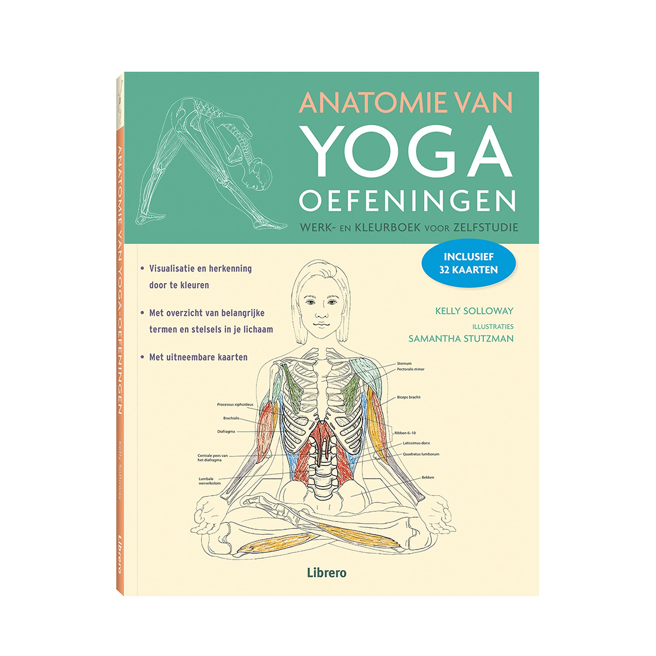 Anatomie van yoga oefeningen – Werk- en kleurboek: Werk- en kleurboek voor zelfstudie book