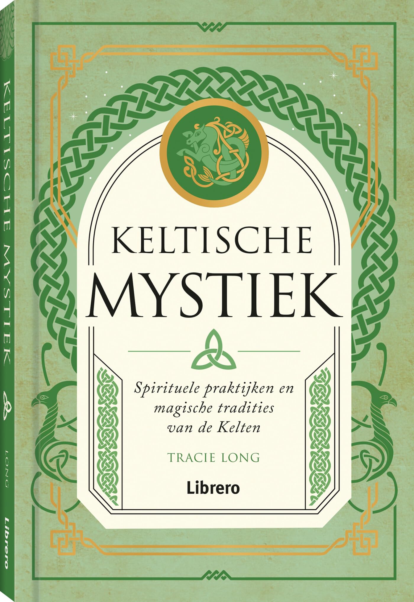 Keltische mystiek: spirituele praktijken en magische tradities van de Kelten Politics & History