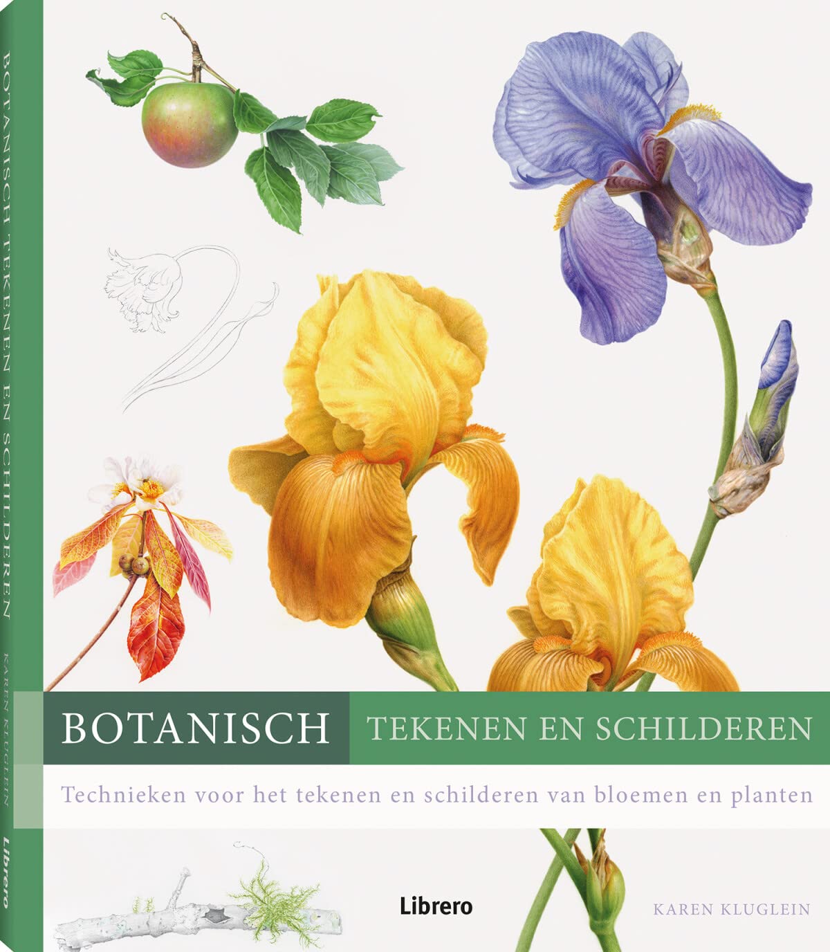 Botanisch tekenen en schilderen: technieken voor het tekenen en schilderen van bloemen en planten book