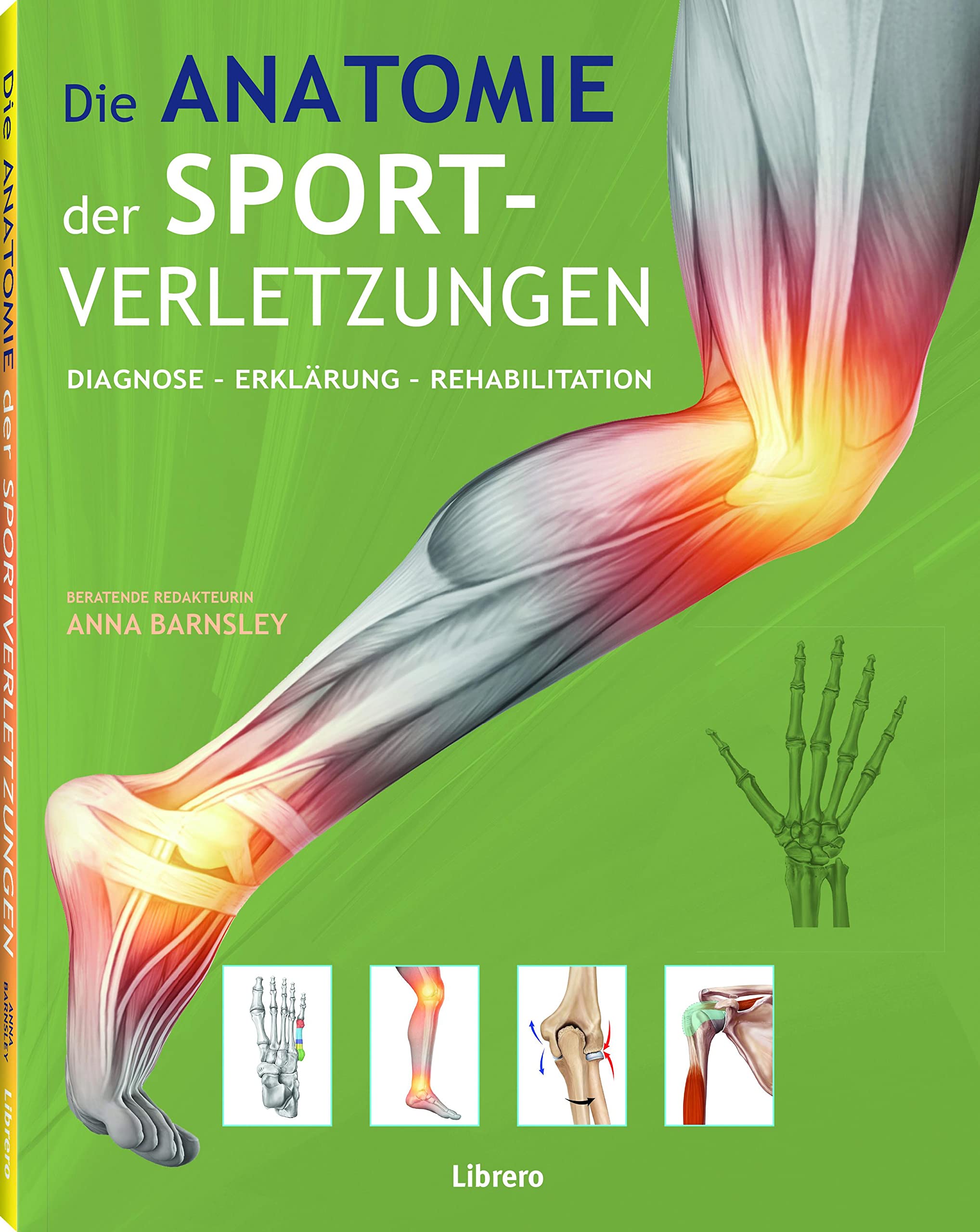 Die Anatomie der Sportverletzungen General education