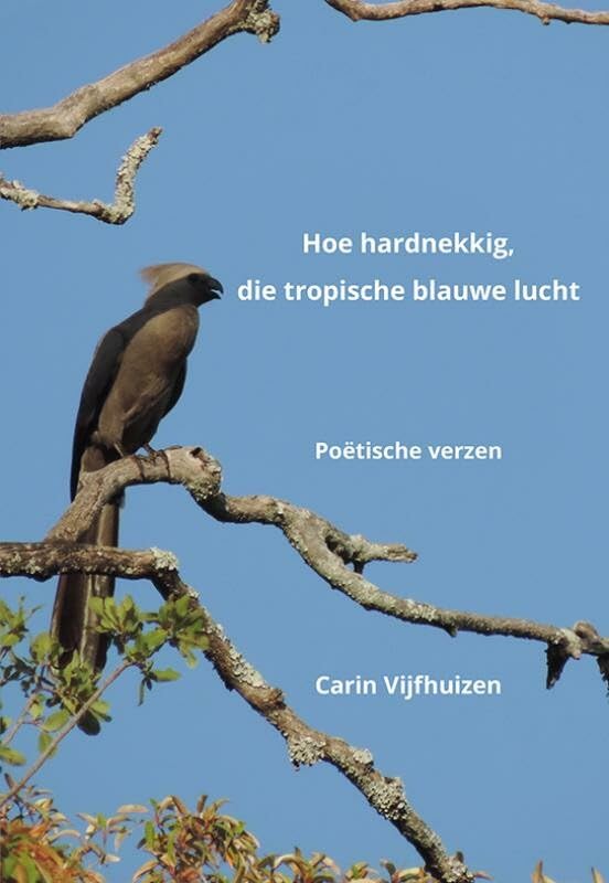 Hoe hardnekkig, die tropische blauwe lucht book