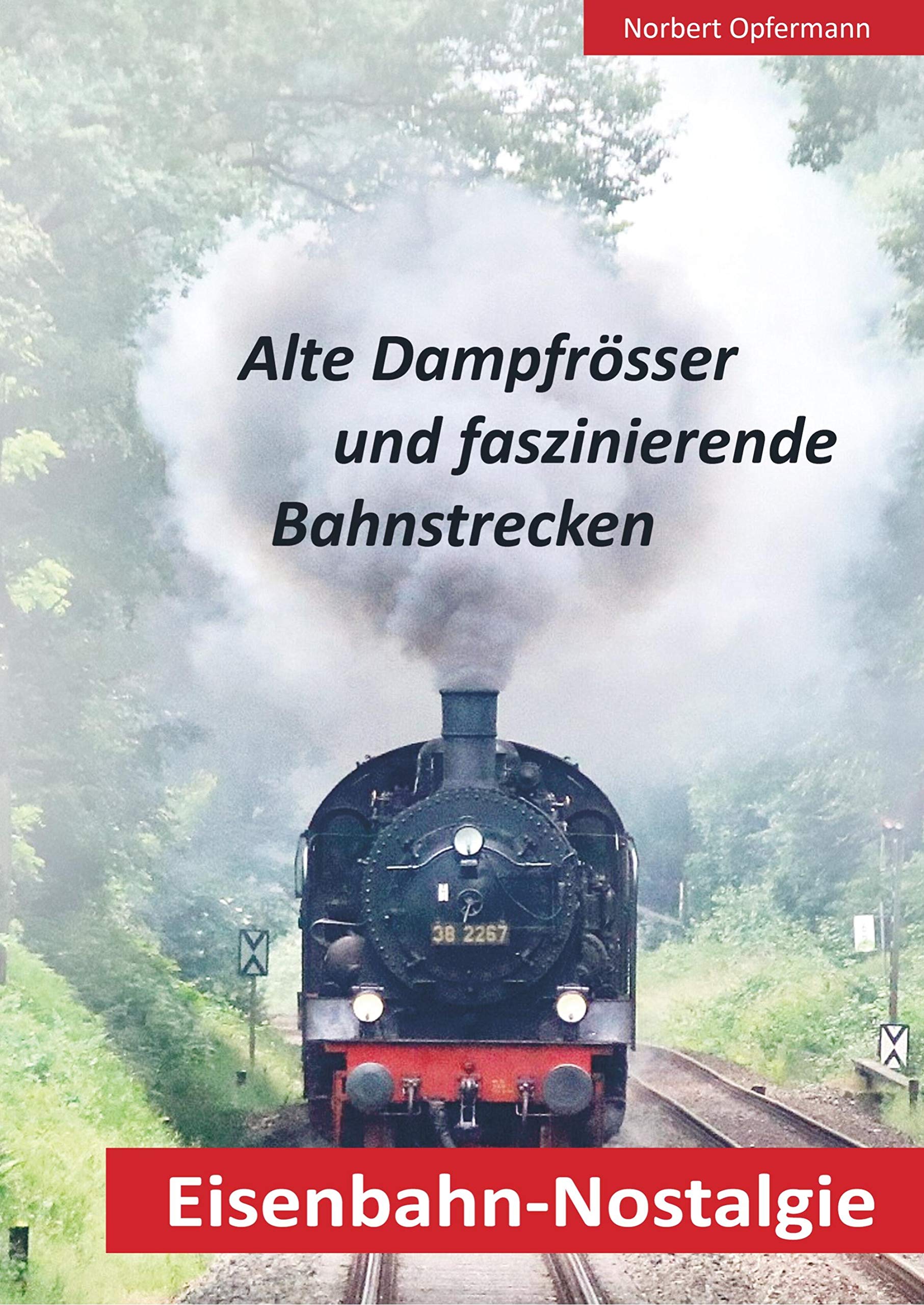 Eisenbahn-Nostalgie: Alte Dampfrösser und faszinierende Bahnstrecken Leisure, Home & Garden