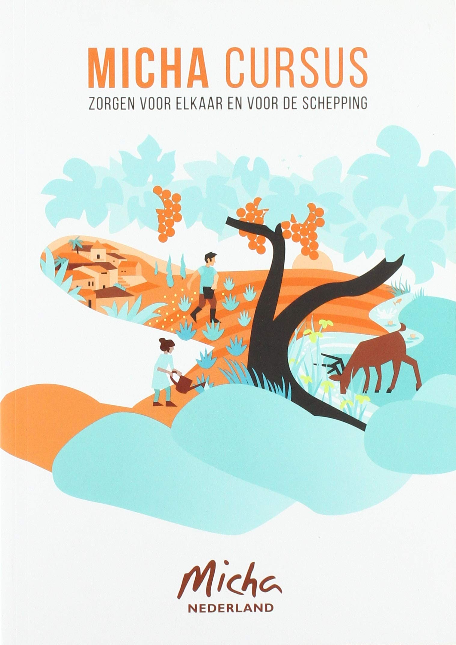 Micha Cursus: Zorgen voor elkaar en voor de schepping book