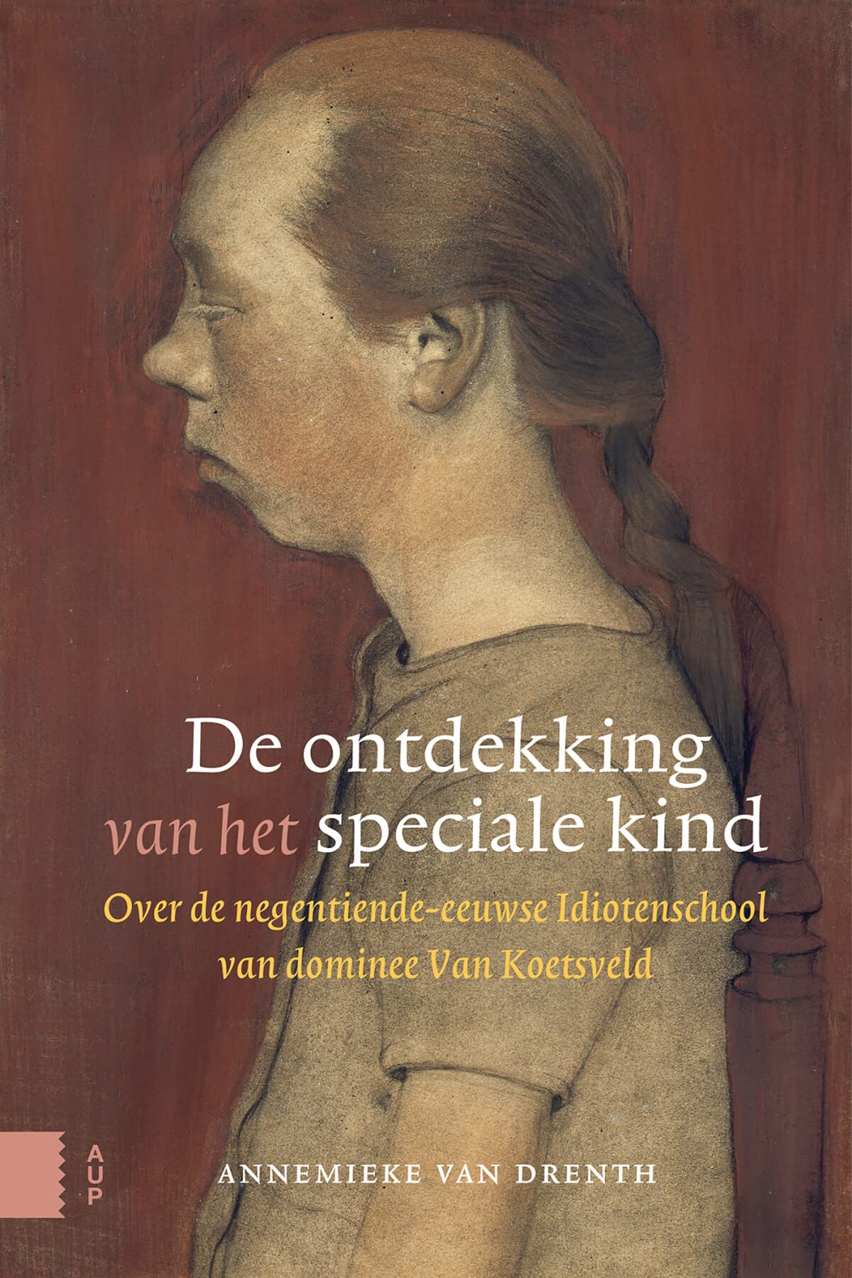 De ontdekking van het speciale kind: Over de negentiende-eeuwse Idiotenschool van dominee Van Koetsveld book